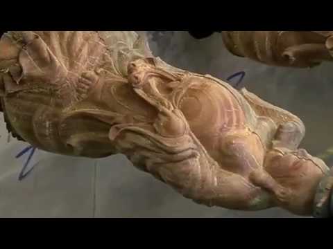 2025年最佳多頭數控雕刻機（帶多主軸）